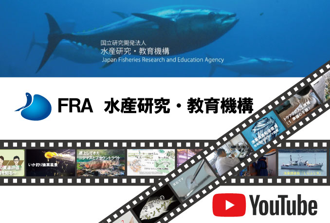 水産研究・教育機構YouTubeチャンネル