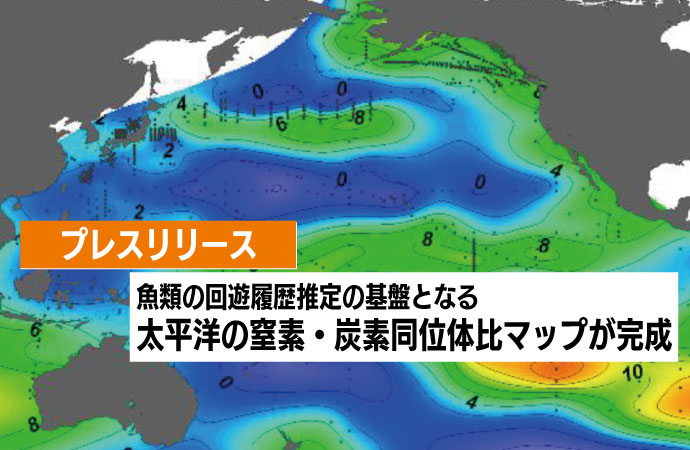 魚類の回遊履歴推定の基盤となる太平洋の窒素・炭素同位体比マップが完成