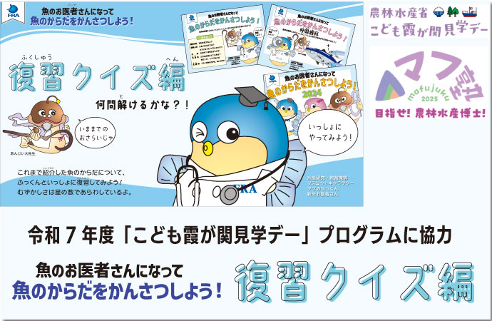 令和7年度「こども霞が関見学デー」プログラムに協力　魚のお医者さんになって魚のからだをかんさつしよう！復習クイズ編