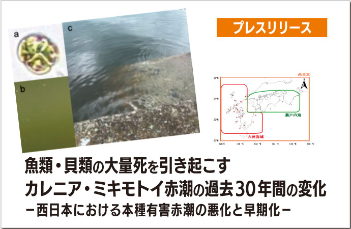 魚類・貝類の大量死を引き起こすカレニア・ミキモトイ赤潮の過去30年間の変化－西日本における本種有害赤潮の悪化と早期化－