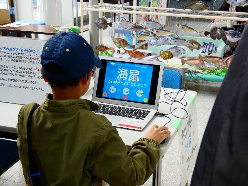 おさかなクイズ（ナマコ）