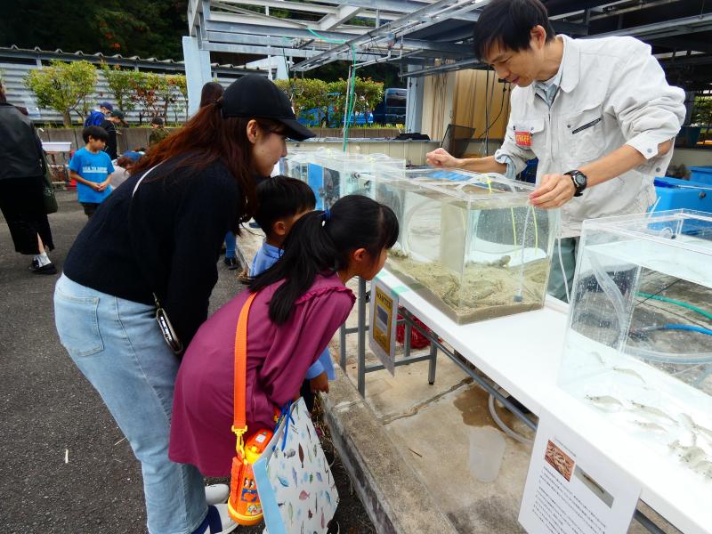海洋生物展示3