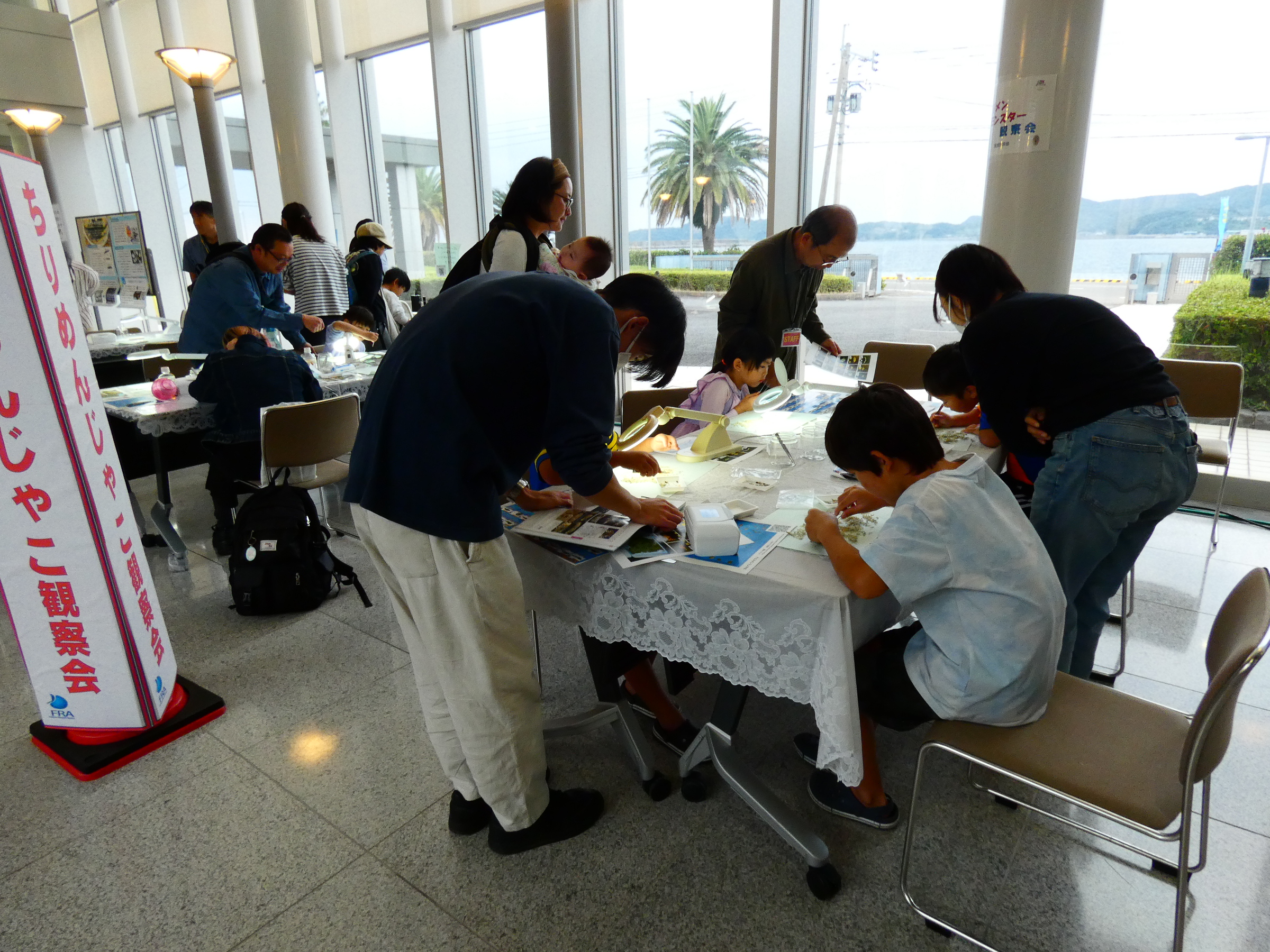 ちりめんじゃこ観察会2