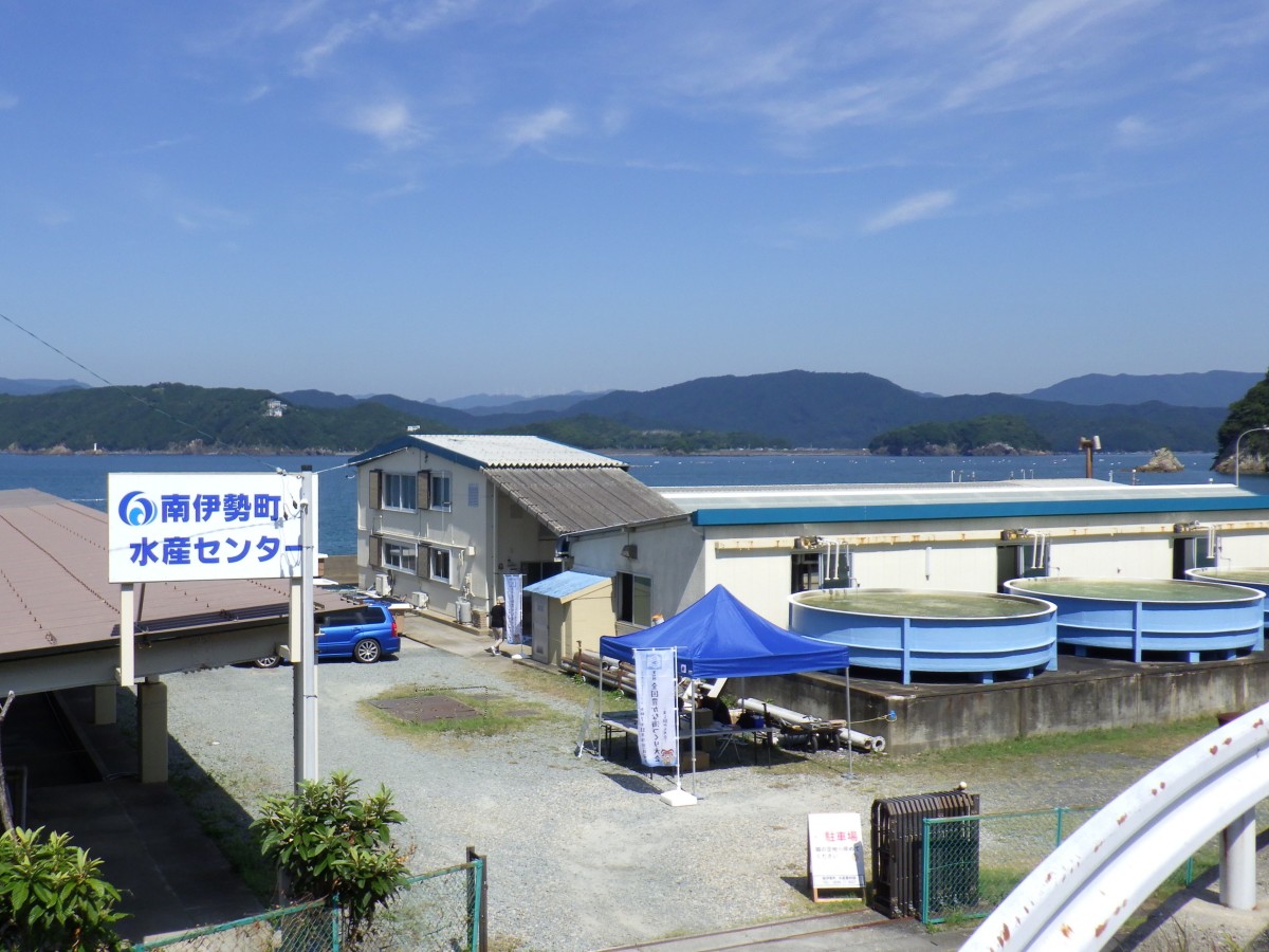 南伊勢町水産センター