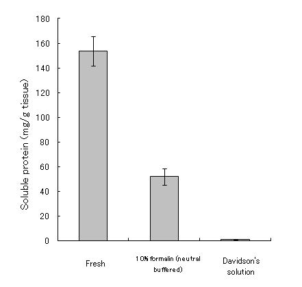 PBS溶液と10%ホルマリン溶液とダビッドソン液中に組織を入れた後、溶解した水溶性タンパク量の比較。組織1g当たりの溶解量の平均値は順に約155mg、約60mg、約2mg