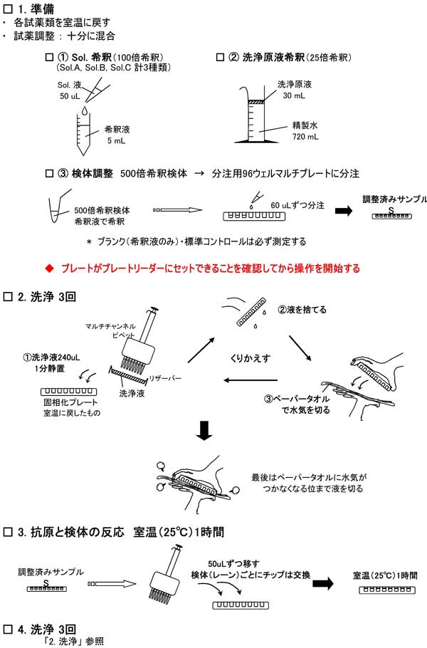 KHV抗体測定のためのフローシート。試薬の調整、検体の希釈、洗浄、抗原と検体の反応までの流れが、図とともに示されている。