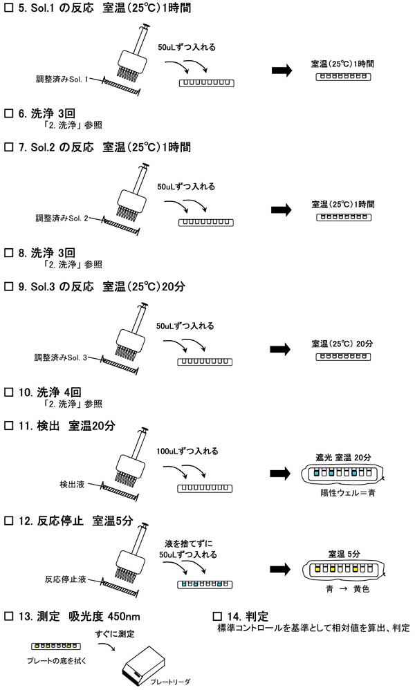 KHV抗体測定のためのフローシート。前の図で示された試薬の調整、検体の希釈、洗浄、抗原と検体の反応に続いて、試薬の反応、検出、測定までの流れが、図とともに示されている。