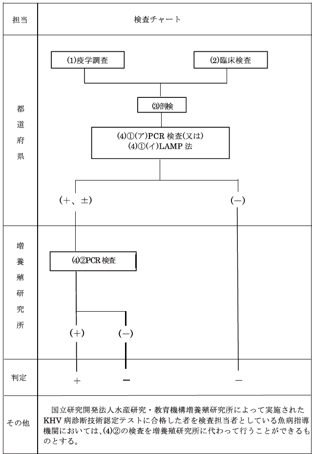 コイヘルペスウイルス病（KHV病）の検査チャート