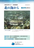 北の海から第25号