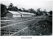 択捉支場の孵化室および養魚池