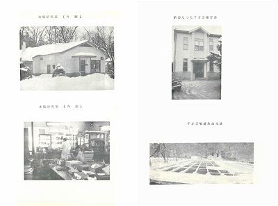 本場研究室、新装なった千歳支場庁舎、千歳支場養魚池全景