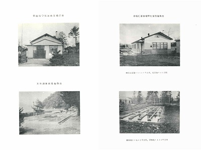 渡島支場、支笏湖事業場、伊茶仁事業場