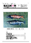 salmon2号表紙