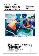 salmon3号表紙