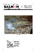 salmon4号表紙