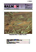 salmon9号表紙