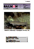 salmon10号表紙