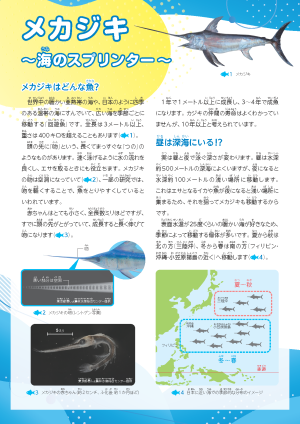 おさかな瓦版125号2ページ目