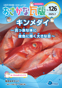 おさかな瓦版キンメダイ1ページ目