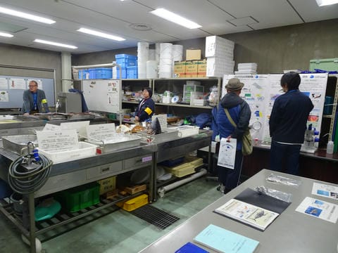 まぐろ標本展示