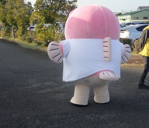 一般公開の様子の画像