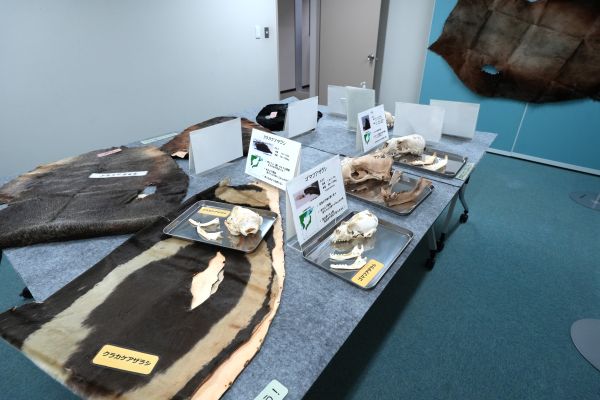 イベントの様子の画像