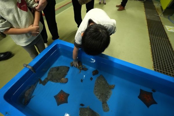 イベントの様子の画像