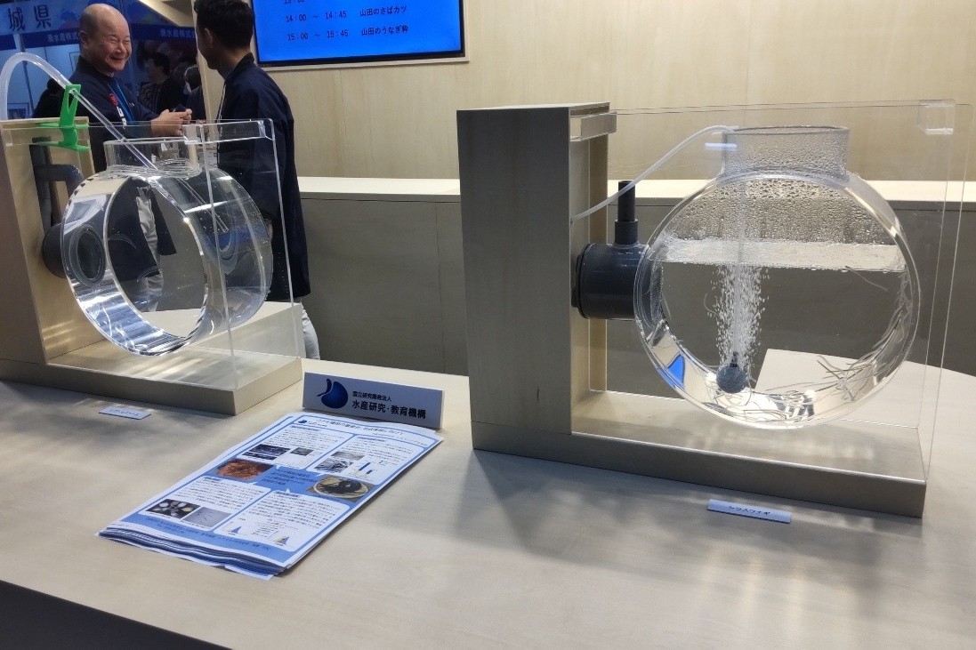 展示の様子