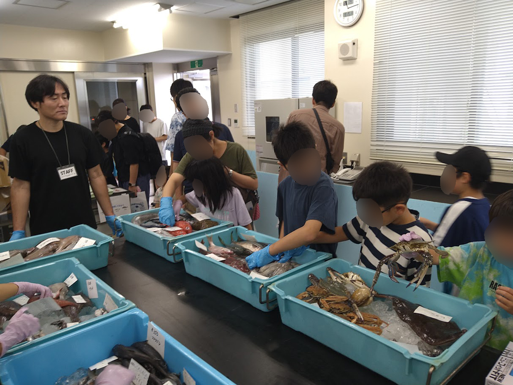 一般公開の様子の画像