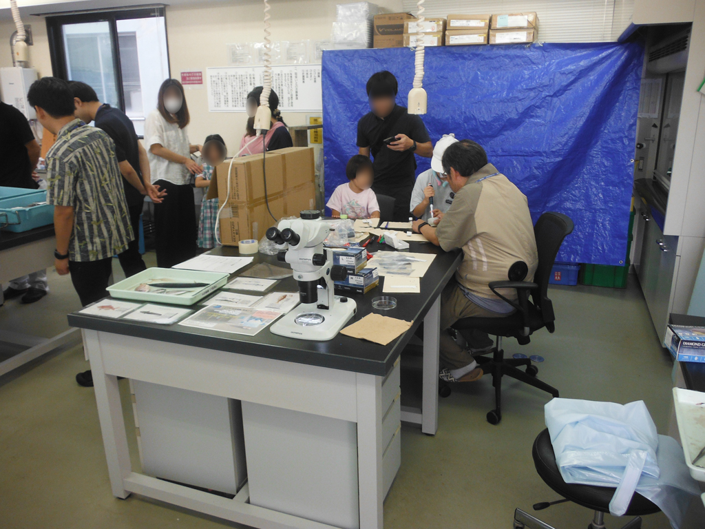 一般公開の様子の画像