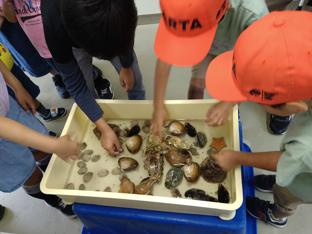 一般公開の様子の画像