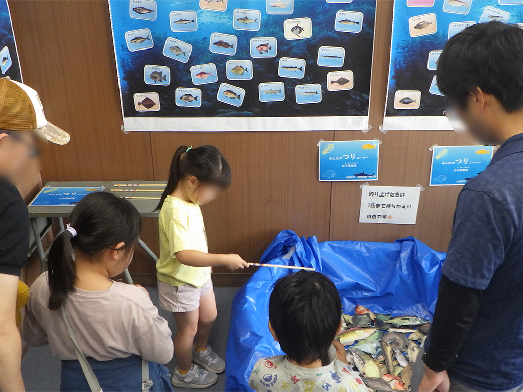 一般公開の様子の画像