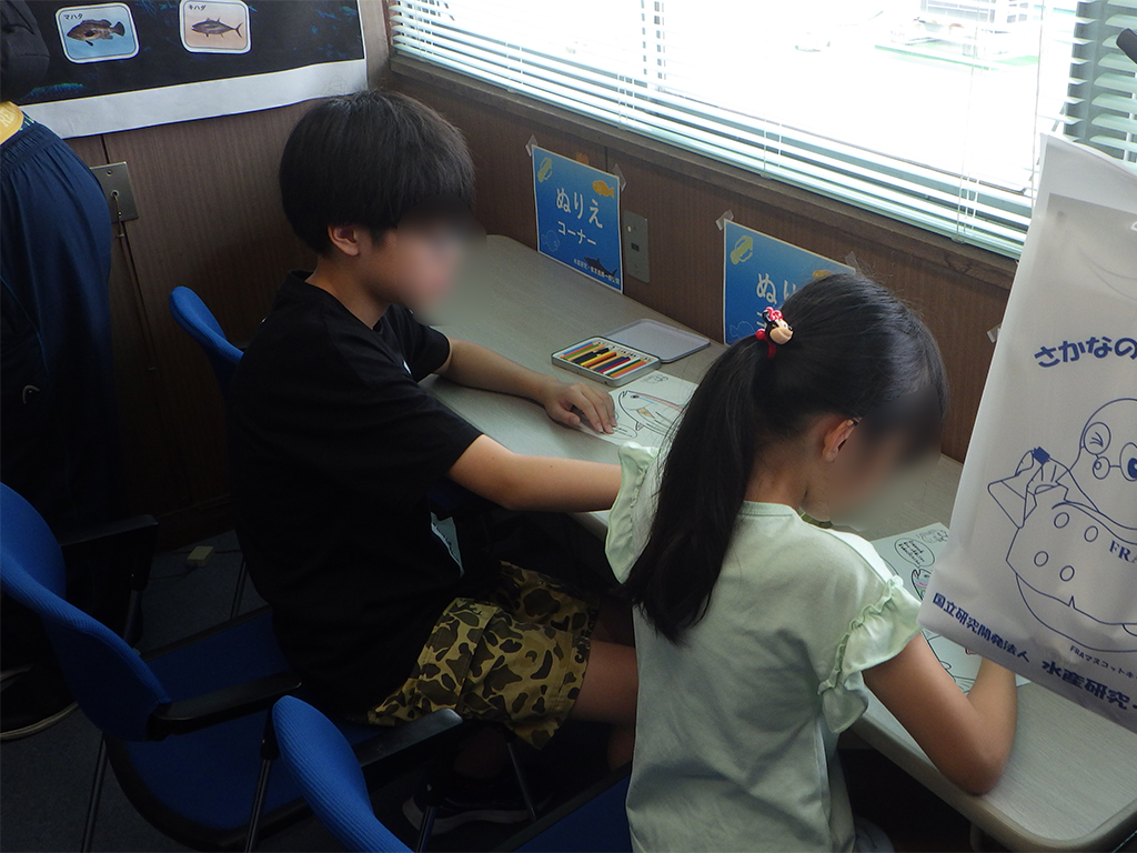 一般公開の様子の画像