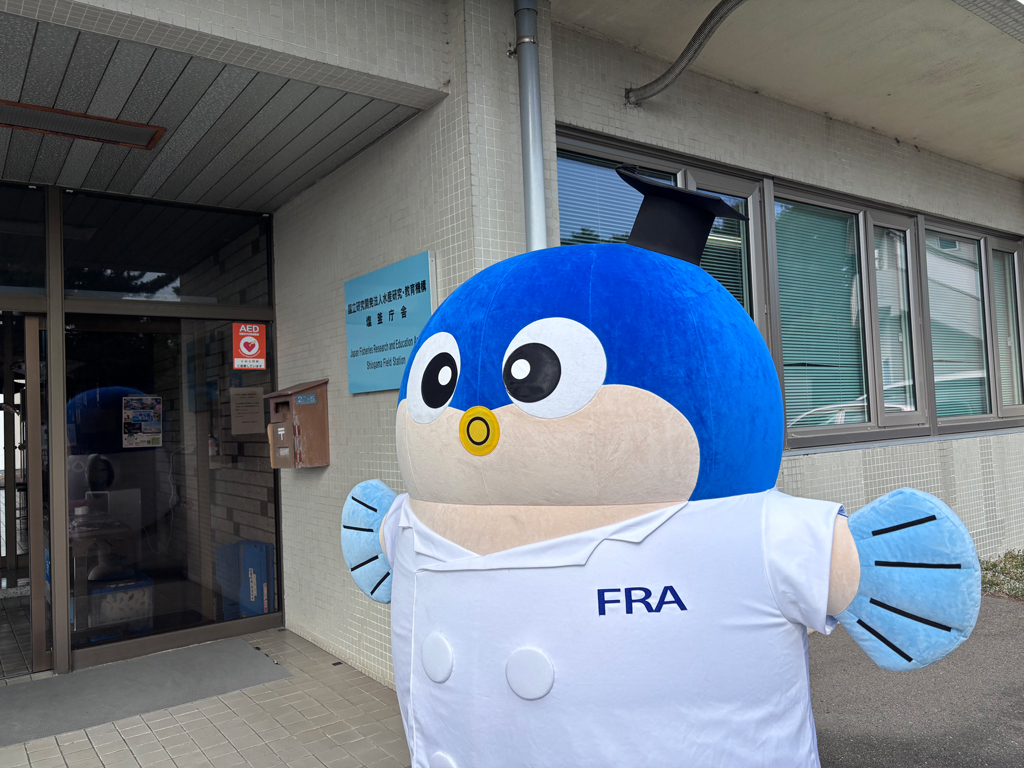 一般公開の様子の画像