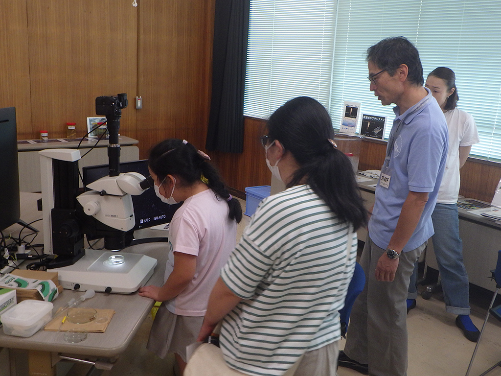 一般公開の様子の画像