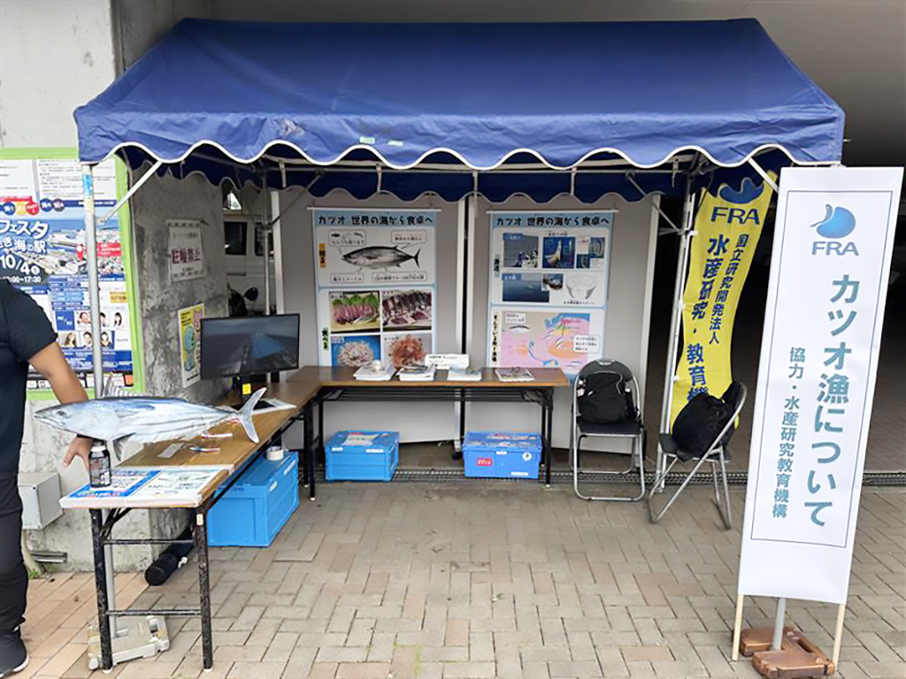 展示の様子