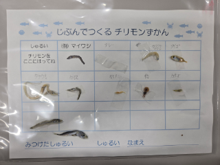 一般公開忘れ物2　「じぶんでつくるチリモンずかん」完成品（なまえ記入なし）
