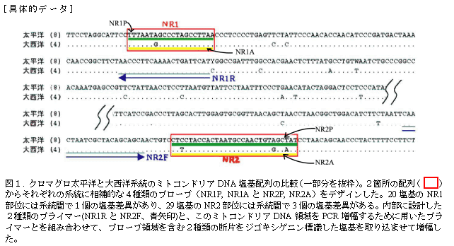 図１