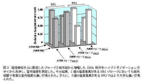 図２