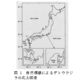 図１