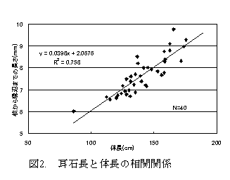 図２