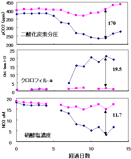 図２