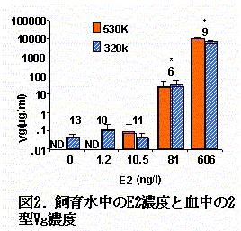 図２