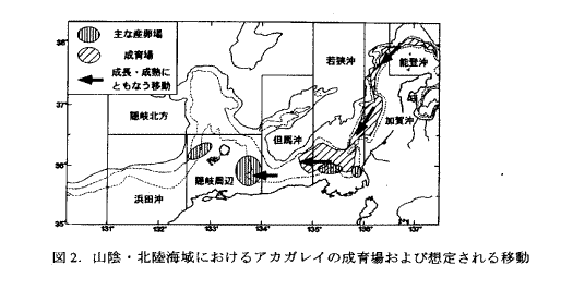 図２