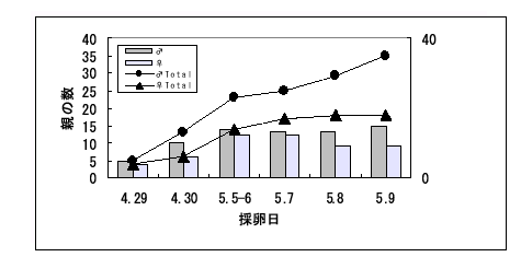 図２