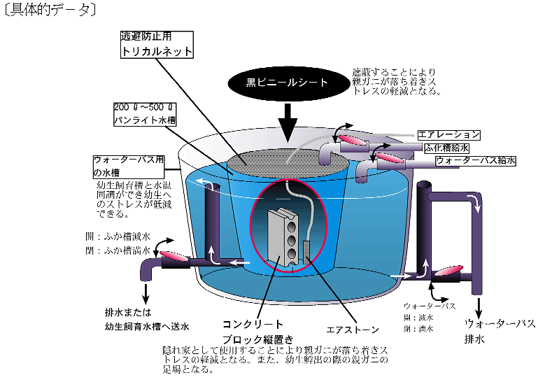 図１