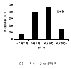 図１