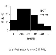 図２