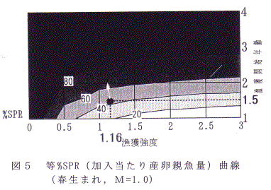 図５