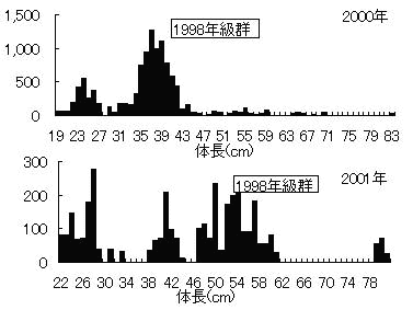 図３